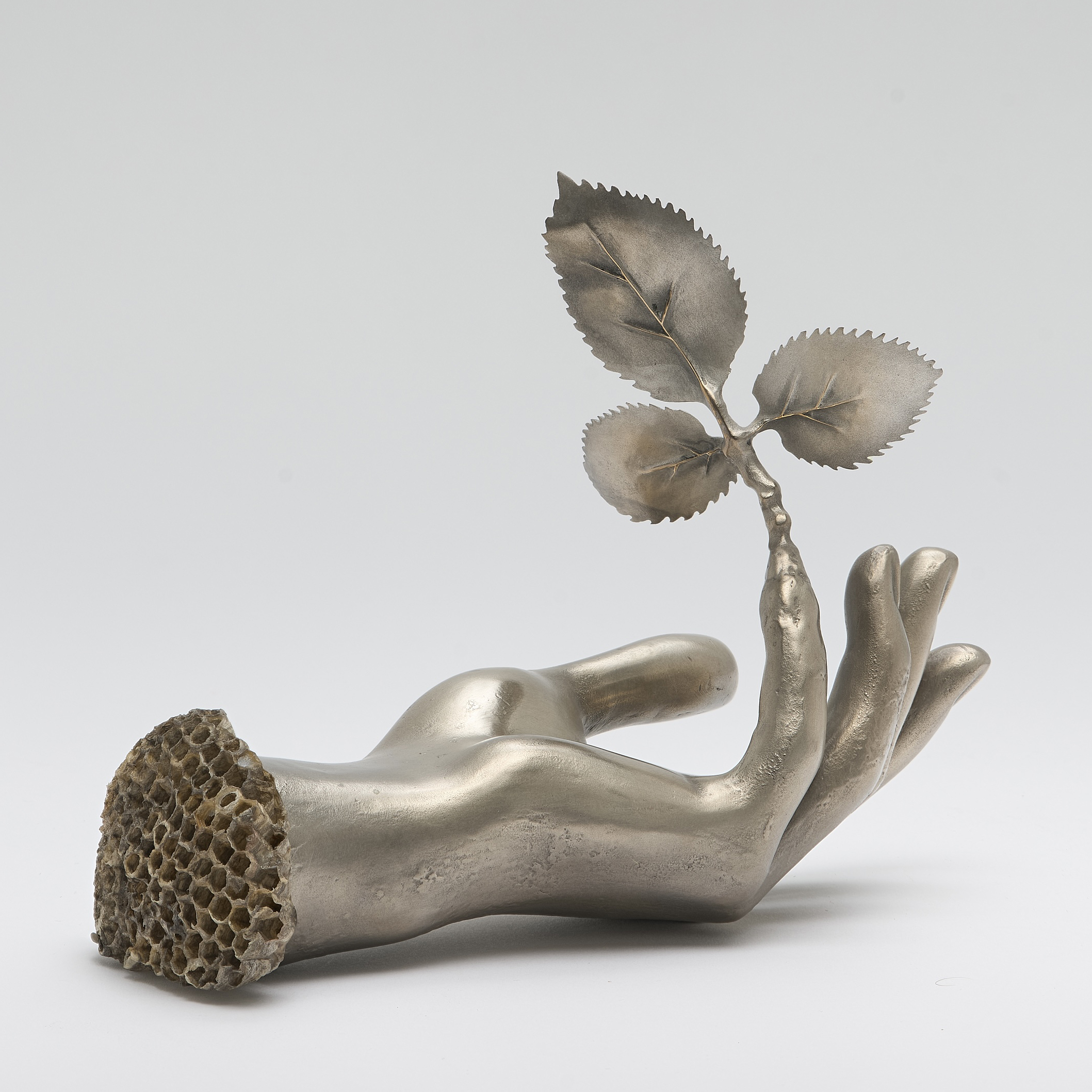 Isabelle-Albuquerque